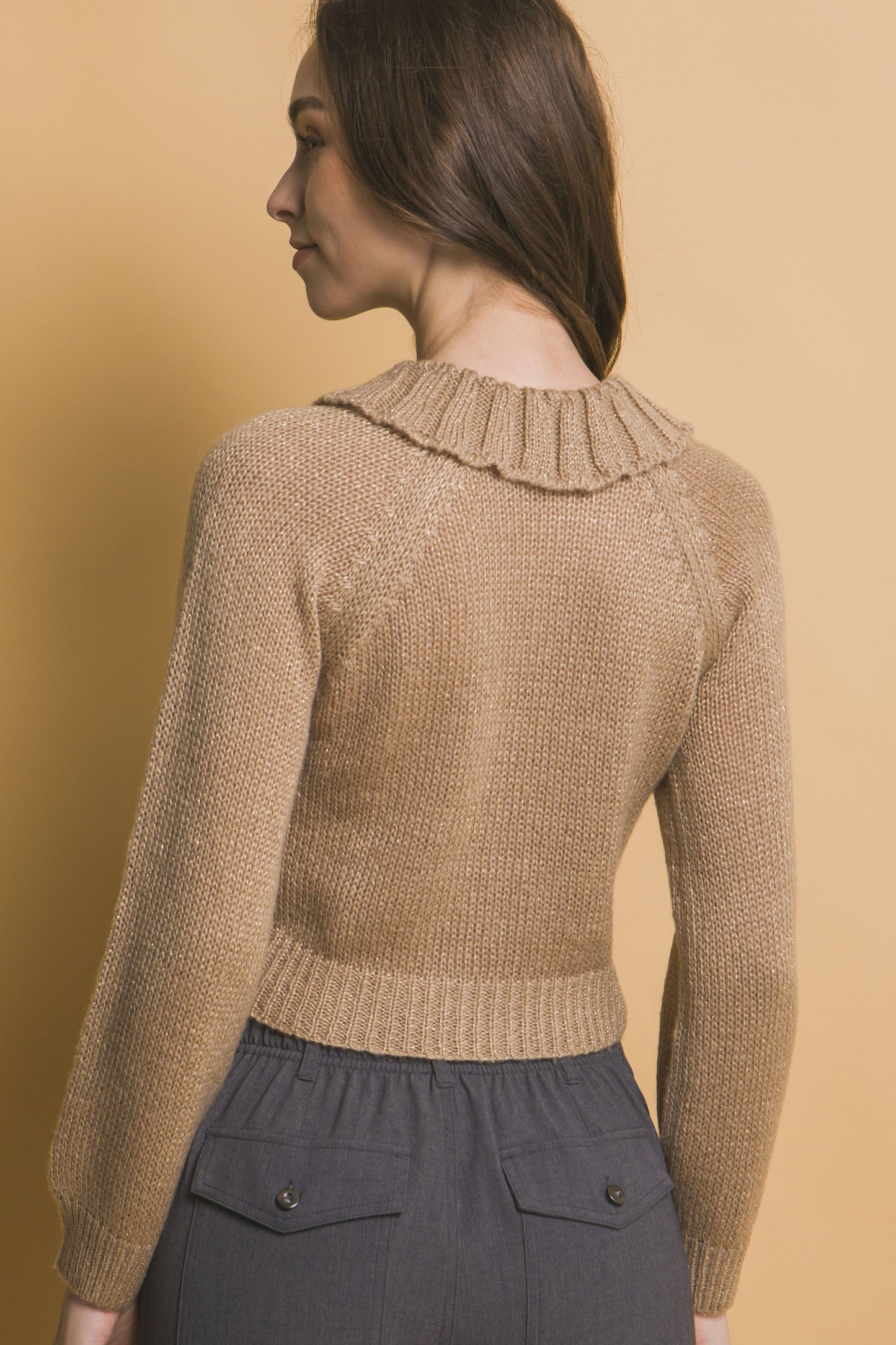 Short Collared Sweater